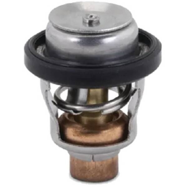 Dometic Thermostat