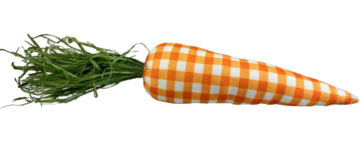 Orange Gingham Carrot H20 in