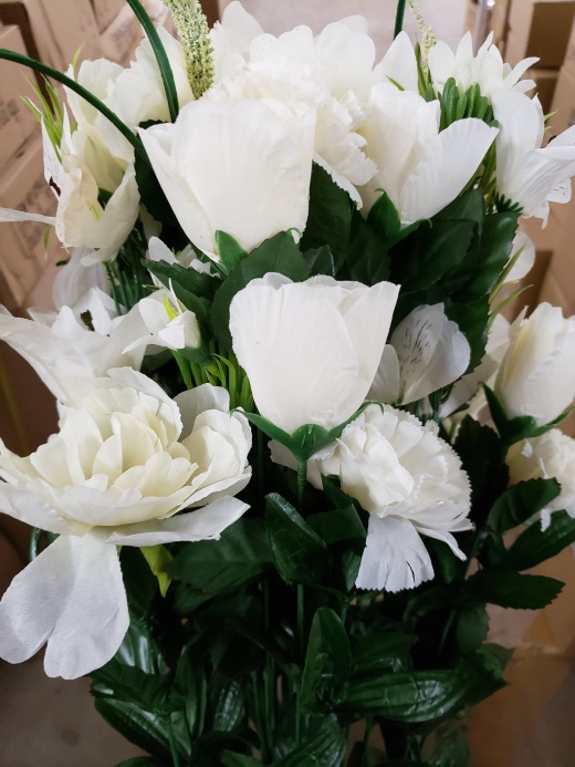 Peony Lily Mixed Bush X 40 - Cream