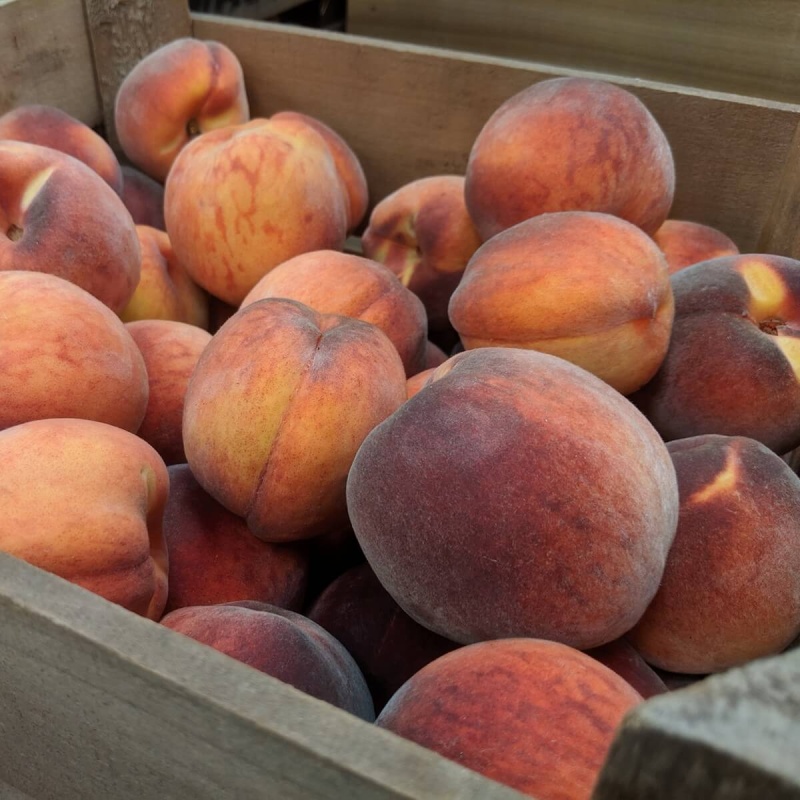 Freeze Dried Peach Dices (2 Oz)