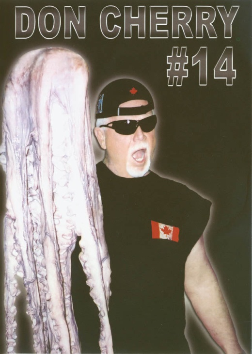 Don Cherry's Rock Em' Sock Em' Hockey - Volume 14