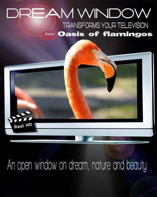Oasis Of Flamingos (Dream Window)
