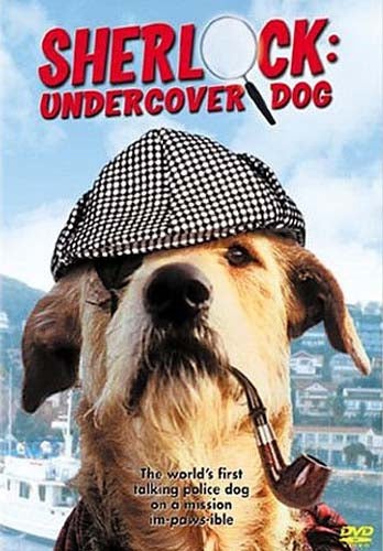 Sherlock - Undercover Dog