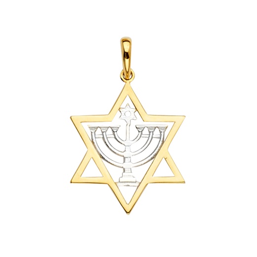 14K Gold Star Of David & Stone Menorah Charm Pendant - Ioka Jewelry