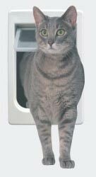 Ideal Pet Chubbykat™ Large Cat Door (Continental U.S. Only)