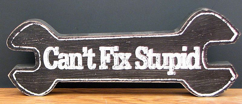 "Can't Fix Stupid" Tabletop Wood Sign