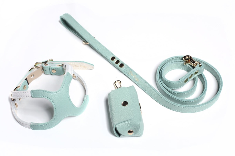 Leather Dog Harness & Leash & Poop Bag Set By Fine Doggy - Green