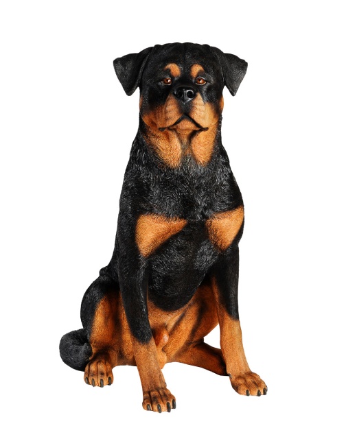 Buy Handmade Rottweiler Statue 1:1 Real Size Online - Petorama