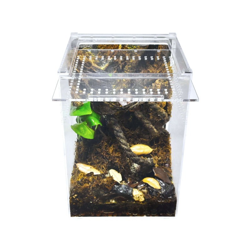 Herpcult Acrylic Reptile Enclosure Large Tall Clear Top 8" X 8" X 12"