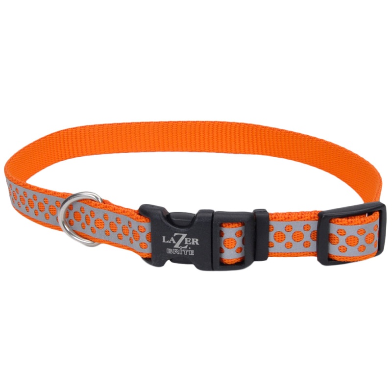 Lazer brite dog outlet harness