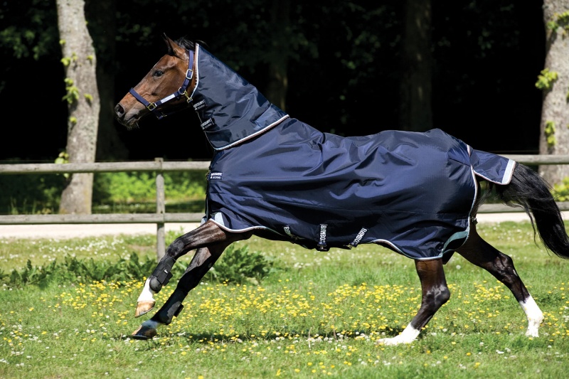 How To Size A Horse Turnout Blanket