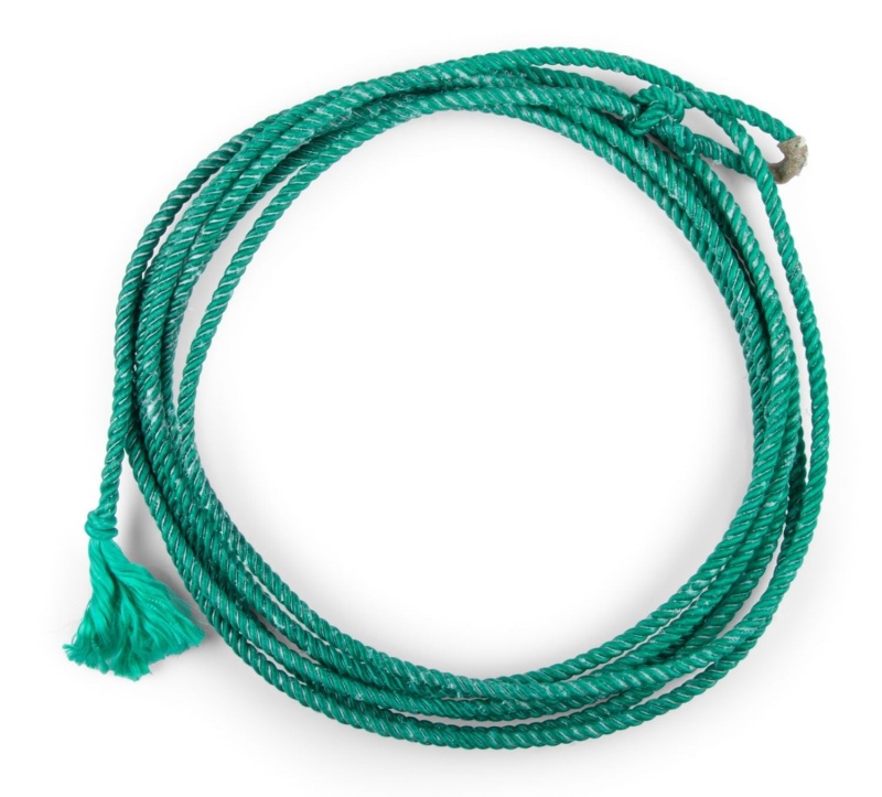 Buy Mustang Little Looper Kids Rope with Rawhide Burner Online - Ideal ...