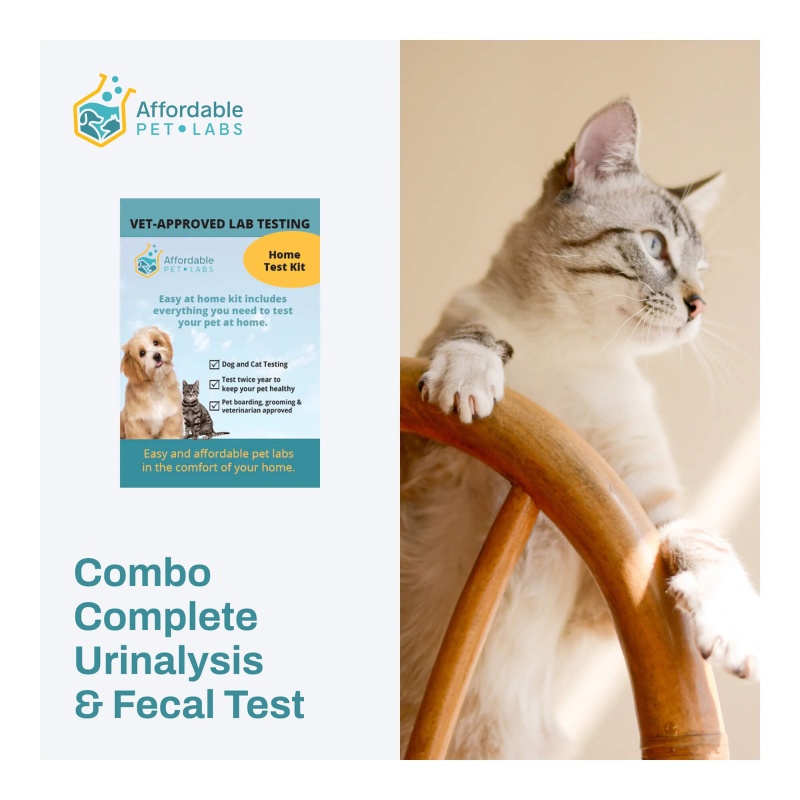 Curated visual reference: Visual Reference: Affordable Pet Labs Combo Complete Urinalysis Fecal Test For Cats