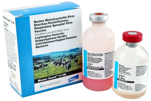 Master Guard 10 HB Vaccine for Cattle