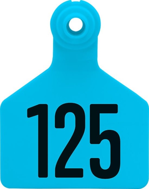 Special Order Numbered Z2 Two Piece Tags from Z Tag, Large