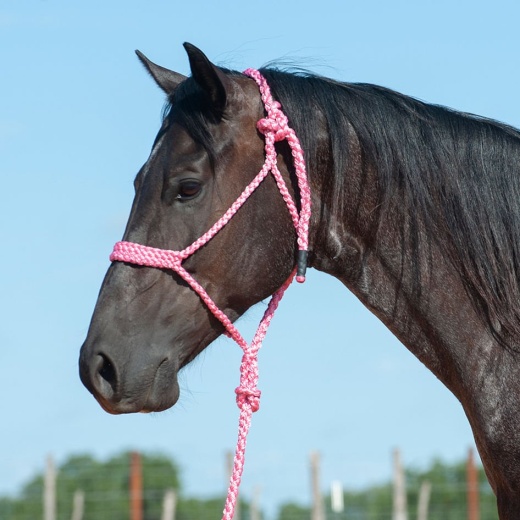 Braided Mule Tape Halter W/ 9' Lead by Cashel