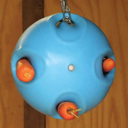 Shires Equestrian Carrot Ball