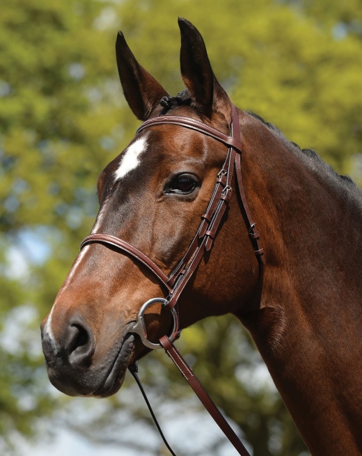 Weatherbeeta Fancy Stitched Bridle W/ Reins - Elevate Your Horse's Riding Experience