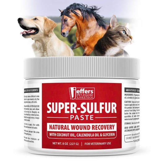 Jeffers Super Sulfur Natural Veterinary Wound Recovery Healing Paste - 8 Oz