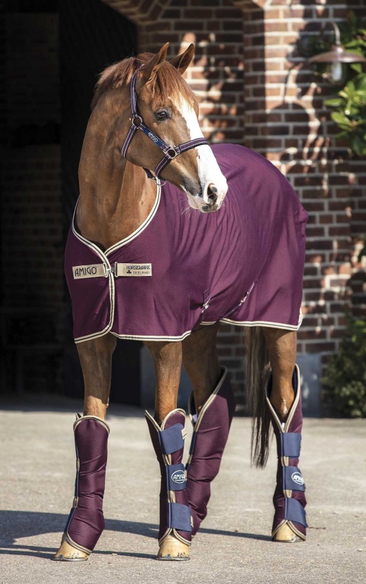 Amigo Jersey Horse Cooler in Fig with Navy & Tan Trim
