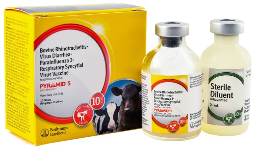 Pyramid 5 - Ultimate Single-Dose Solution for Cow Health and Disease Prevention