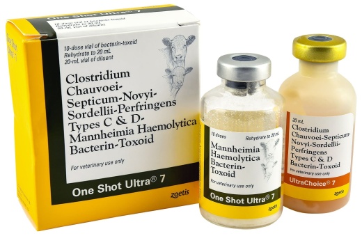 One Shot Ultra 7: Effective Blackleg Vaccine for Cattle