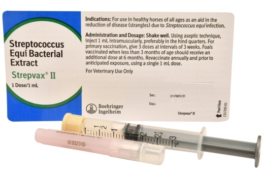 Strepvax II (With Syringe/Needle) - 1 Dose