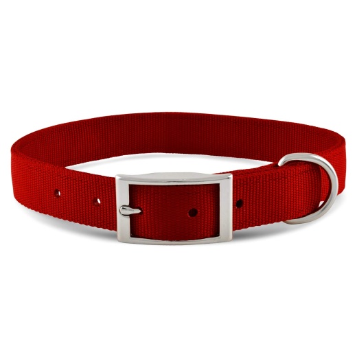 Jeffers Solid Web Nylon Dog Collar, 1" X 16"l Red