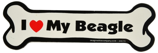 Bone Magnet, 7" x 2.25" - A Unique Accessory for Dog Lovers