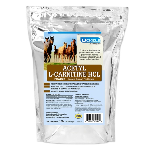 Uckele Acetyl L-Carnitine Hcl Muscle Support For Horses, Powder - 1 Lb