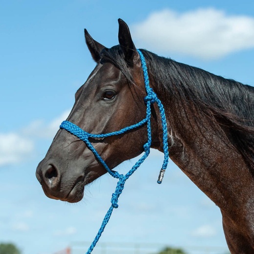Braided Mule Tape Halter W/ 9' Lead by Cashel