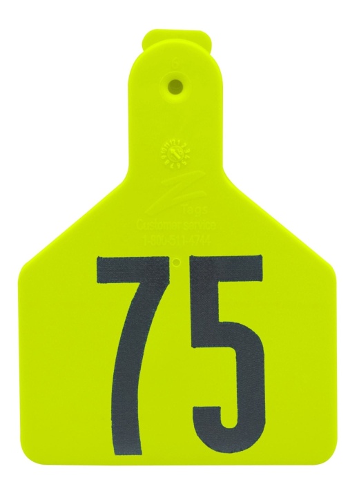 Special Order Z1 No-Snag Numbered 1-Piece Ear Tags, 25 Ct Calf