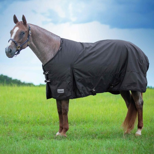 Jeffers Romper Stomper 1680D Horse Turnout Blanket, 360G Fill, Brown