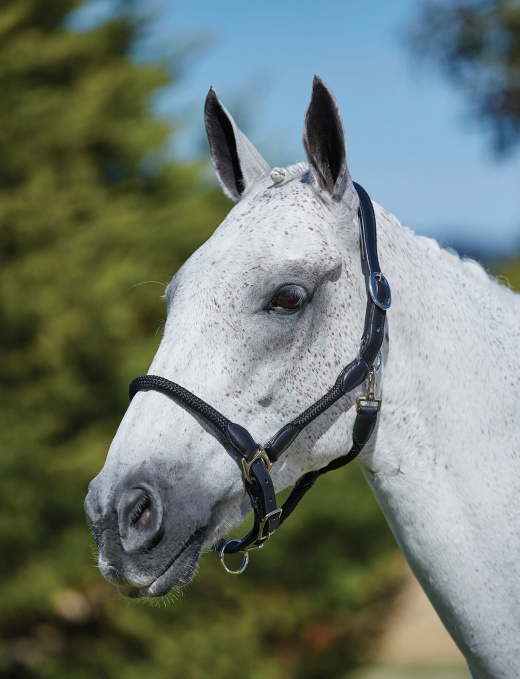 Kincade Leather And Rope Halter