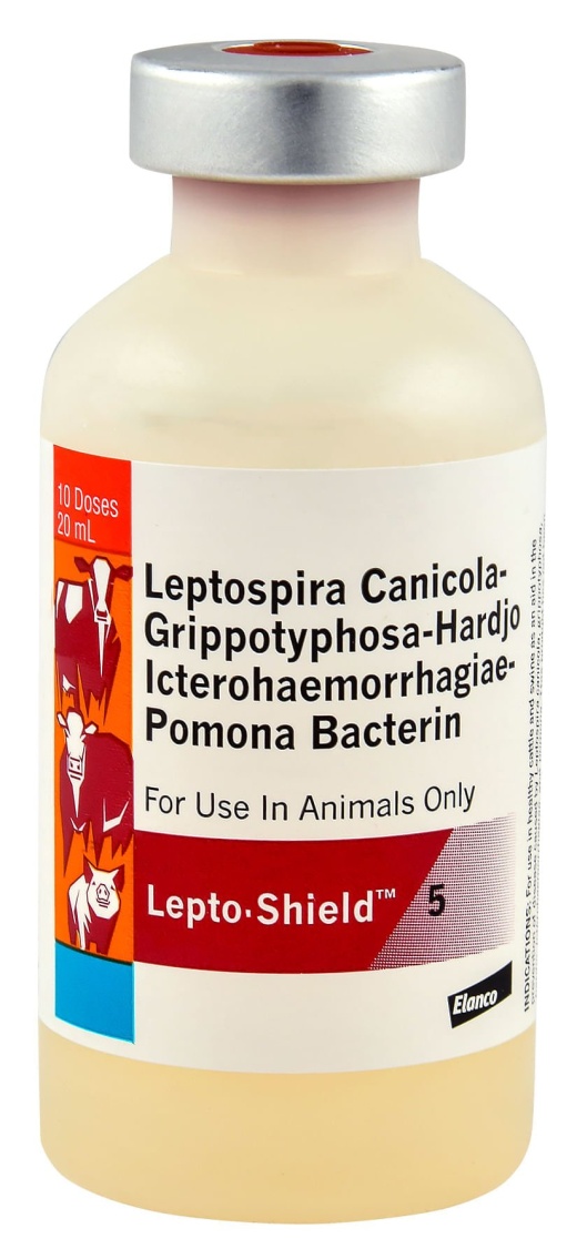 Lepto Shield 5: Effective Leptospirosis Prevention for Cattle and Swine