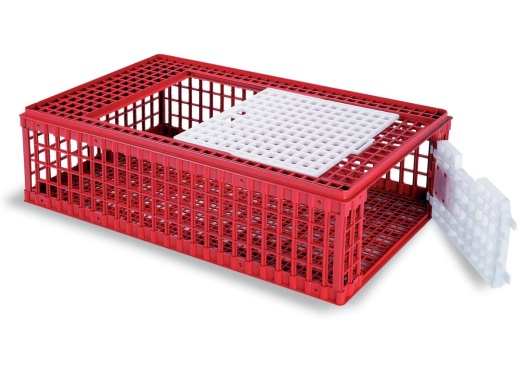 Gaun Poultry Shipping Crate
