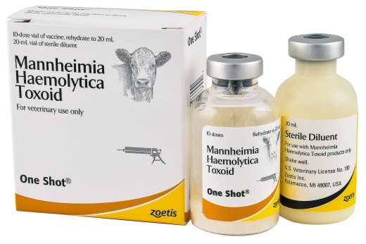 One Shot - Mannheimia haemolytica Bacterin - Toxoid