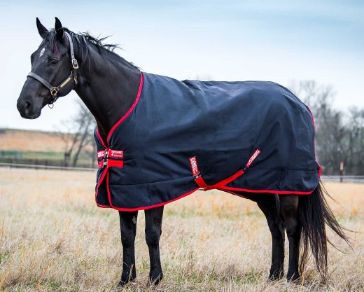 Rambo Original Medium Blanket W/ Bag For Life