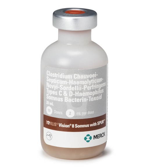 Bovilis Vision 8 Somnus With Spur - Merck Cow Vaccine