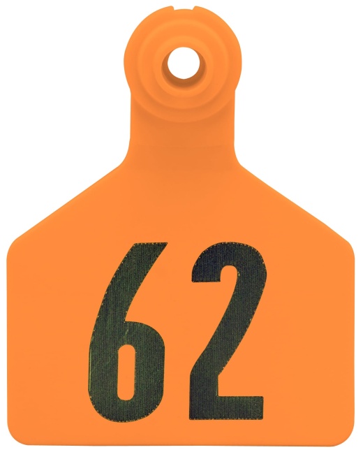 Special Order Numbered Z2 Two Piece Tags from Z Tag, Maxi
