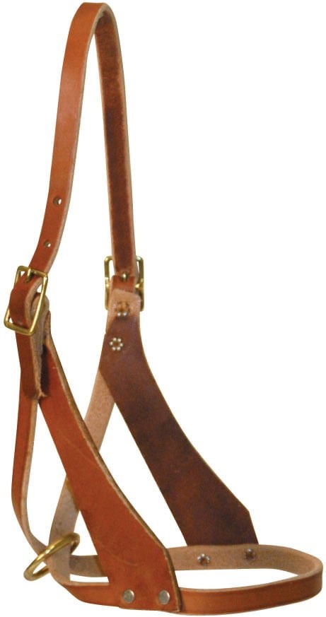 Riveted Figure 8 Foal Breakaway Halter