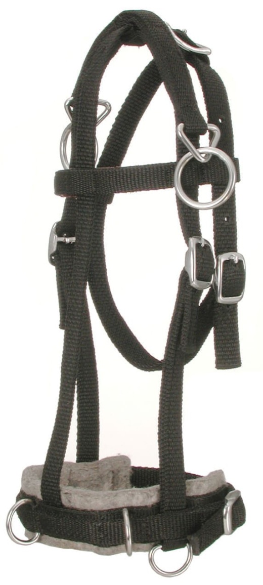 Miniature Horse Nylon Training Caveson - Brown