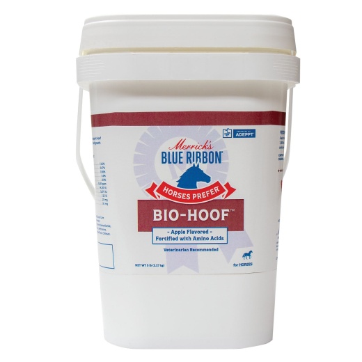 Horses Prefer Bio-Hoof Powder - The Ultimate Solution for Healthy Hooves