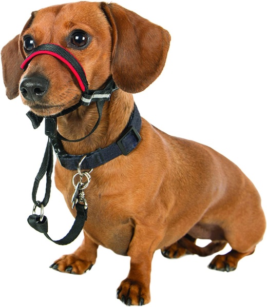 Halti Optifit Headcollar