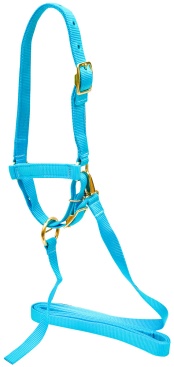 Large Horse Adjustable Halter with Throat Snap (900-1200 lb)