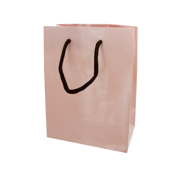 12.5X9.5 Gift Bag Pink, Pack Of 20