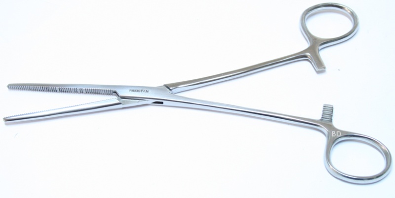 8" Pean Locking Forceps Straight