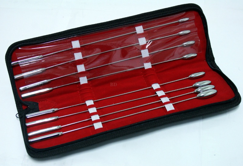 Bakes Rosebud 8 Pcs Set Of Uterine Urethral Dilator With A Carrying Case