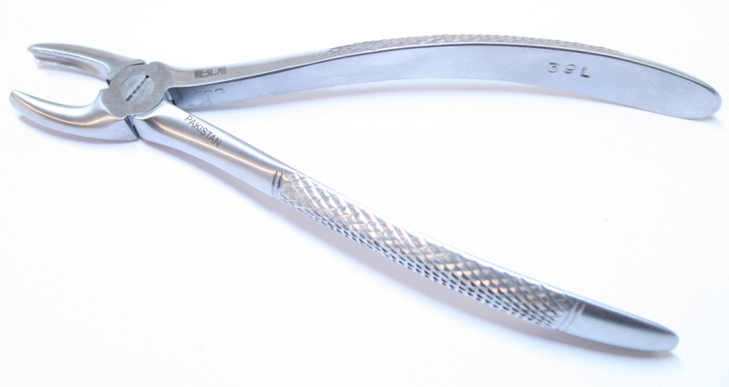 39L 1Pc Dental Instrument Extracting Forceps Stainless Steel