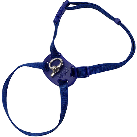 Coastal Size Right Cat Harness - Adjustable and Comfortable
